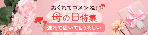 母の日　遅れてごめんね