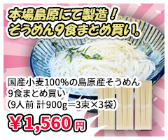 国産小麦100%の島原産そうめん９食