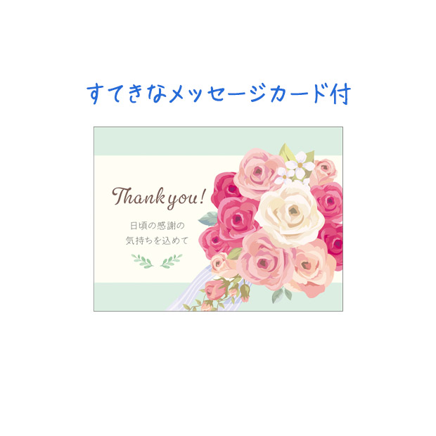 ＜父の日＞「ハーゲンダッツ」＆アイスアソートギフト(HES-DS2)