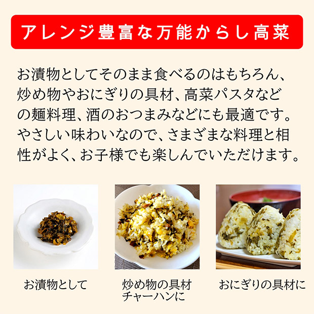 辛子高菜 150g×４袋セット（九州産高菜使用）