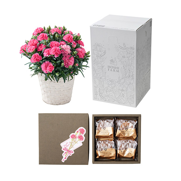 ＜母の日＞【ホシファーム】カーネーション＆焦がしキャラメルがしみ込んだバーム4個