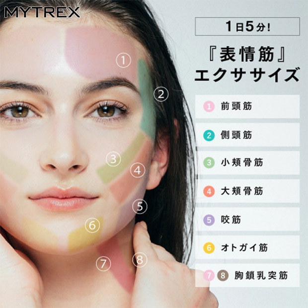 【MYTREX】電気針ヘッドスパ EMS HEAD SPA PRO（MT-EHP22B）