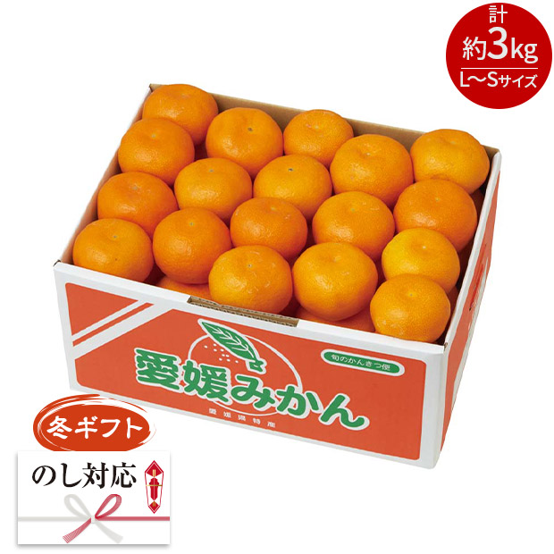 ＜冬ギフト＞愛媛みかん（Y13-6B）