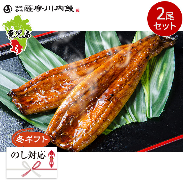 ＜冬ギフト＞【薩摩川内鰻】鹿児島県産うなぎ蒲焼2尾セット