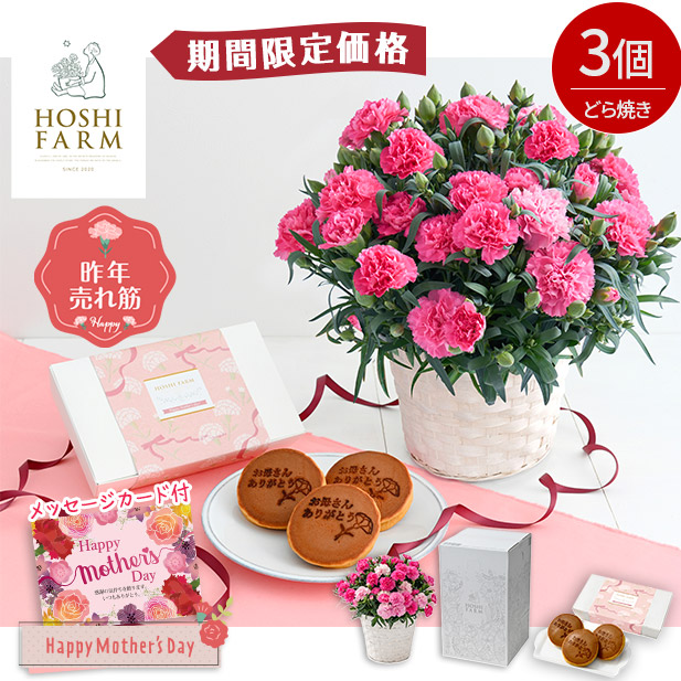 【期間限定価格】＜母の日＞【ホシファーム】カーネーション＆徳島なると金時のどら焼き3個