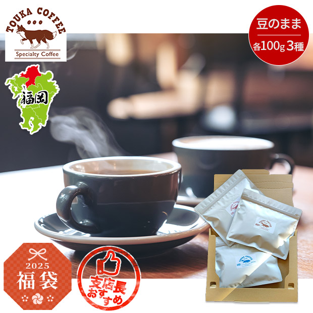 ＜新春福袋＞【TOUKA COFFEE】100g×3種セット（ゲイシャ種含む）（豆のまま）