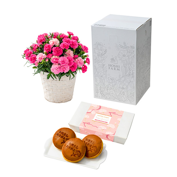 【期間限定価格】＜母の日＞【ホシファーム】カーネーション＆徳島なると金時のどら焼き3個