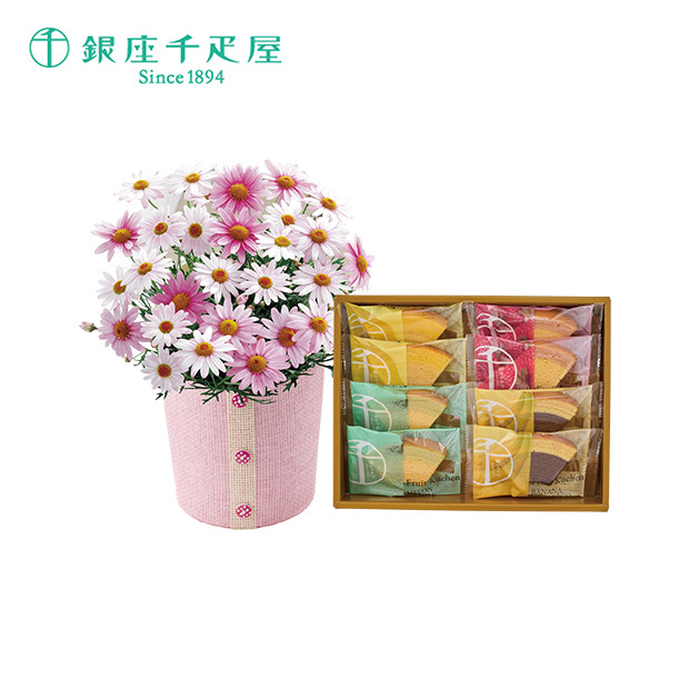 ＜母の日＞マーガレット（さくらべーる）と「銀座千疋屋」銀座フルーツクーヘン（C40-3）