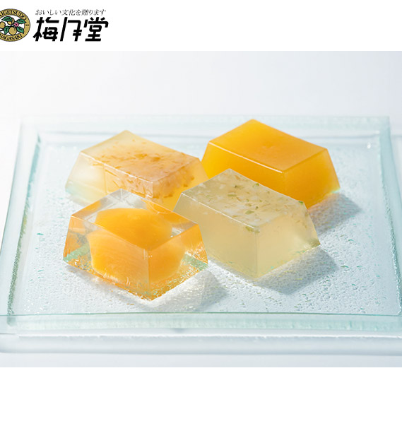 ＜夏ギフト＞【梅月堂】長崎果実のぷるぷるジェリー8個入