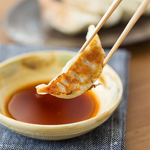 【薩摩八重ファーム】かごしま黒豚餃子20個入 ×2箱