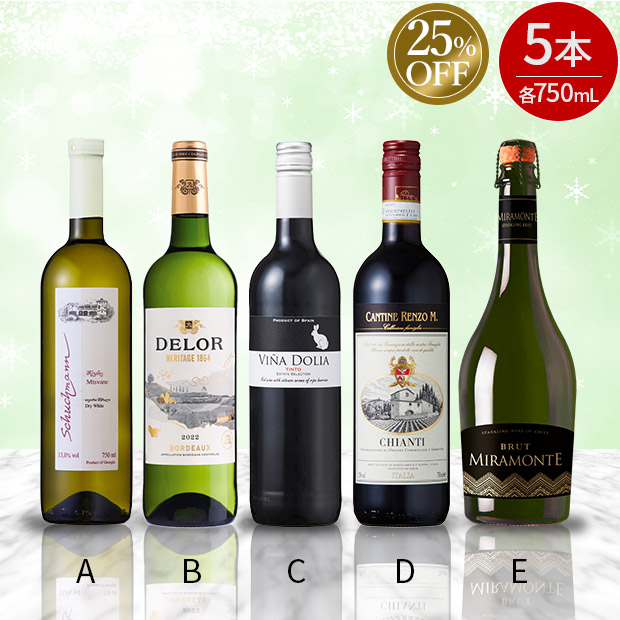 ≪25%OFF≫＜大決算還元セール＞世界の赤白泡ワインセレクション　750mL&times;5本セット