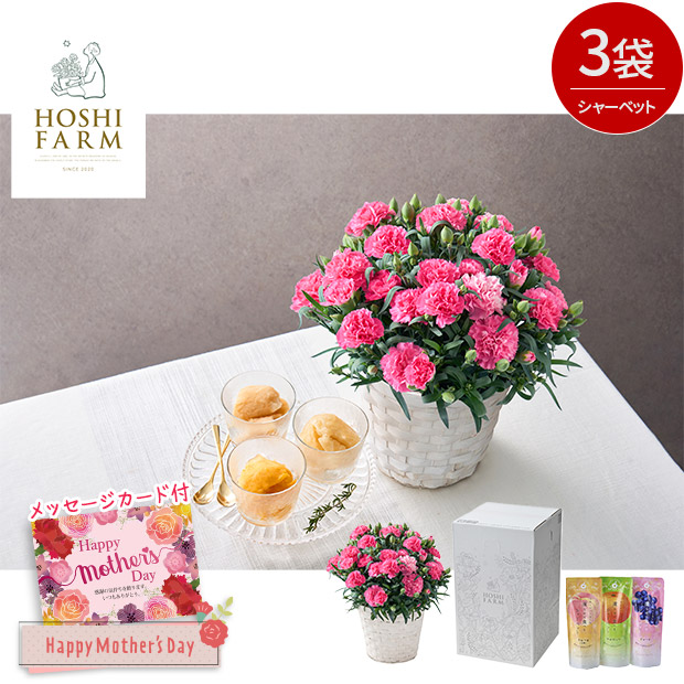 ＜母の日＞【ホシファーム】カーネーション＆凍らせて食べるシャーベット彩果しずく3袋