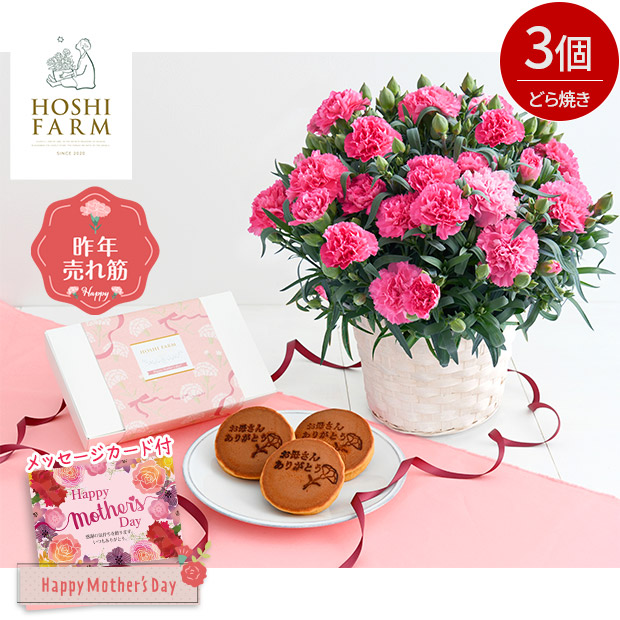＜母の日＞【ホシファーム】カーネーション＆徳島なると金時のどら焼き3個