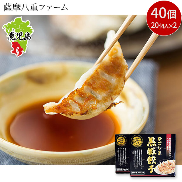 【薩摩八重ファーム】かごしま黒豚餃子20個入 ×2箱