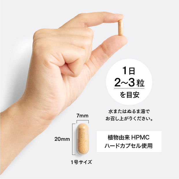 【定期購入用】sonomono Inc. そのもの納豆（カプセルタイプ 90粒）