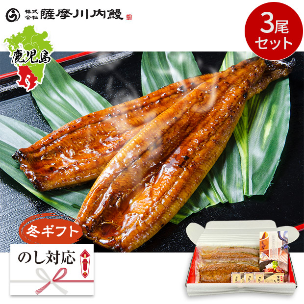 ＜冬ギフト＞【薩摩川内鰻】鹿児島県産うなぎ蒲焼3尾セット