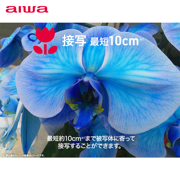 【aiwa】aiwa cam DCB 全2色