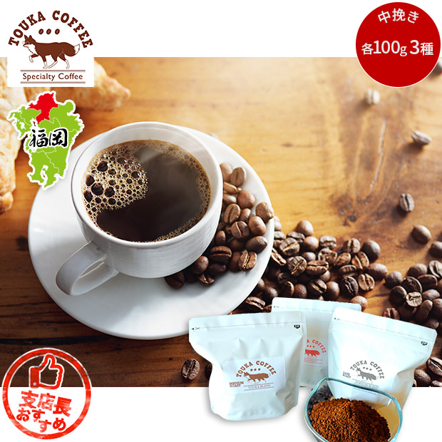 【TOUKA COFFEE】ブレンド100g×3種セット（中挽き）