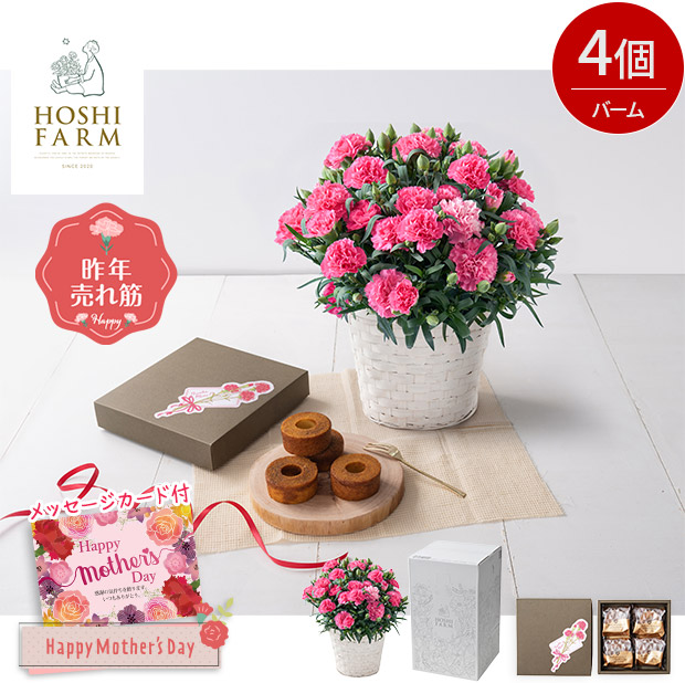 ＜母の日＞【ホシファーム】カーネーション＆焦がしキャラメルがしみ込んだバーム4個