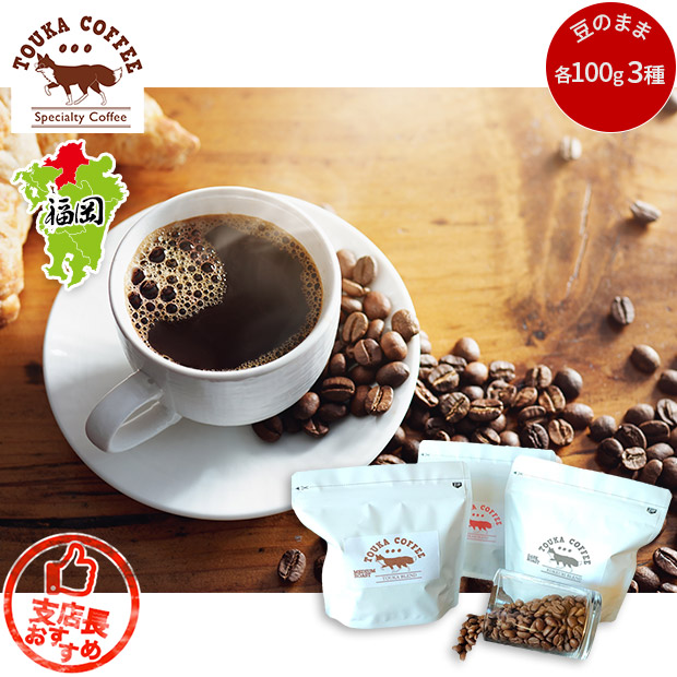 【TOUKA COFFEE】ブレンド100g×3種セット(豆のまま)