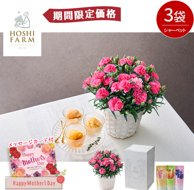 【期間限定価格】＜母の日＞【ホシファーム】カーネーション＆凍らせて食べるシャーベット彩果しずく3袋