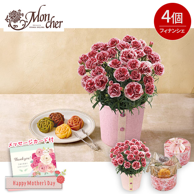 ＜母の日＞カーネーション（いちごホイップ）と「パティスリー モンシェール」エタニティーローズ（C40-2）