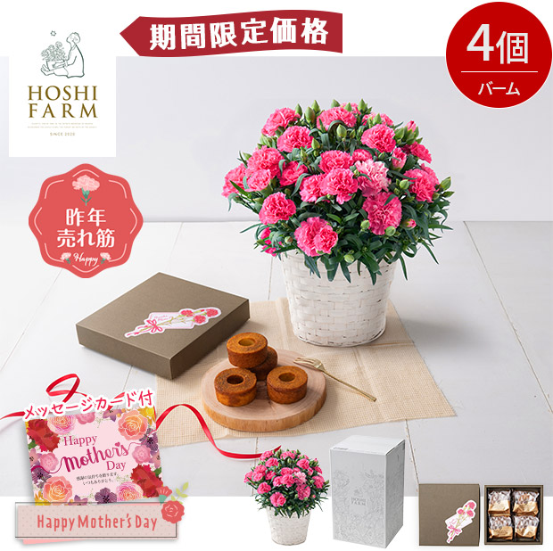 【期間限定価格】＜母の日＞【ホシファーム】カーネーション＆焦がしキャラメルがしみ込んだバーム4個