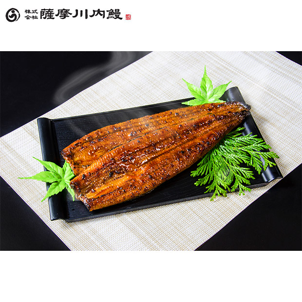 【薩摩川内鰻】鹿児島県産うなぎ蒲焼2尾セット