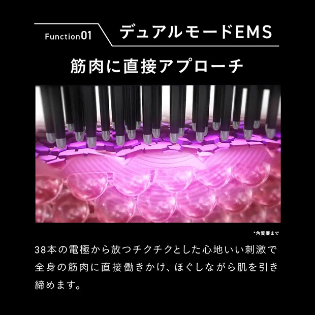 【ブライト】エレキブラシプラス (BRT-FSB180)