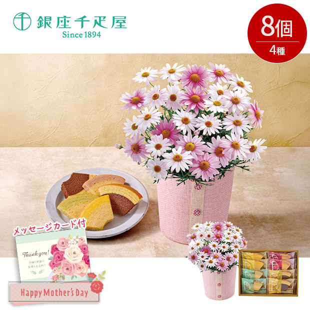 ＜母の日＞マーガレット（さくらべーる）と「銀座千疋屋」銀座フルーツクーヘン（C40-3）