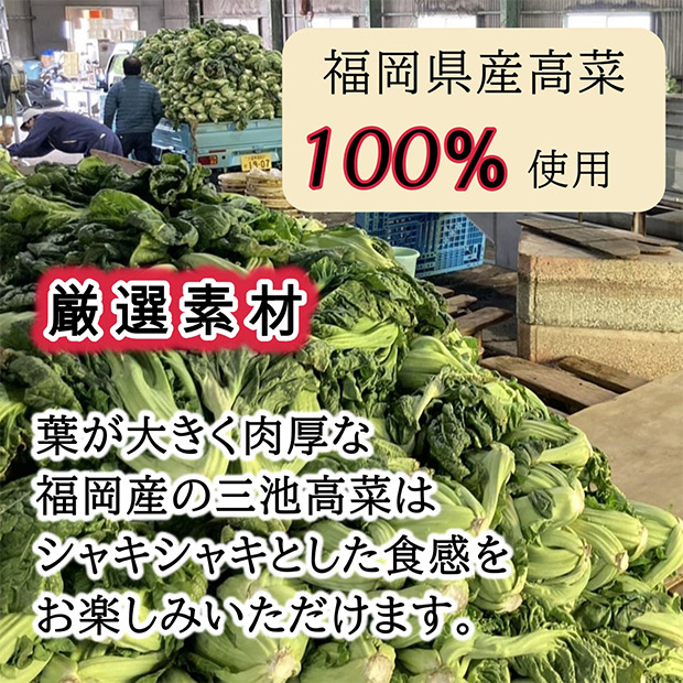 辛子高菜 150g×４袋セット（九州産高菜使用）