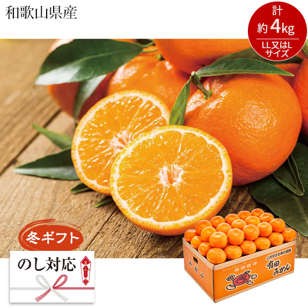 ＜冬ギフト＞和歌山県産 有田みかん（Q13-3A）