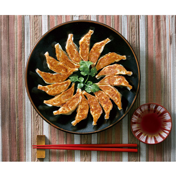 【薩摩八重ファーム】かごしま黒豚餃子20個入 ×2箱