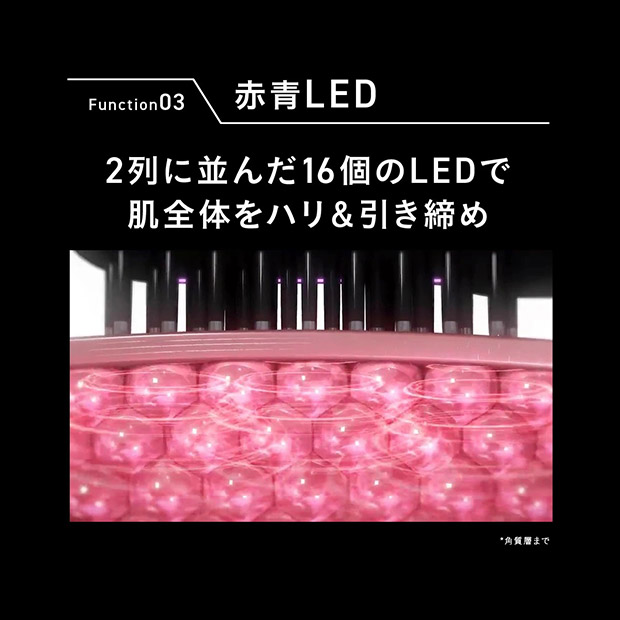 【ブライト】エレキブラシプラス (BRT-FSB180)