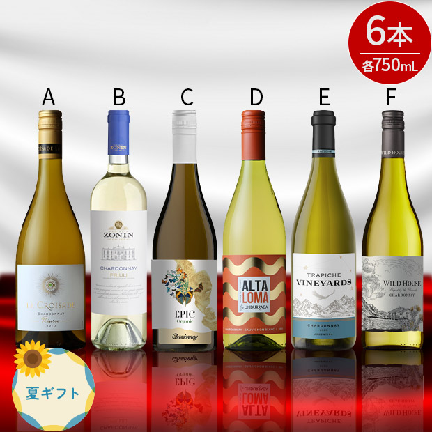 ＜夏ギフト＞厳選 世界のシャルドネ 750mL×6本セット