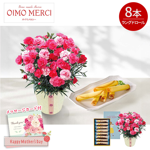 ＜母の日＞カーネーション（さくらもなか）とOIMO MERCI ラングドロール（C40-1）