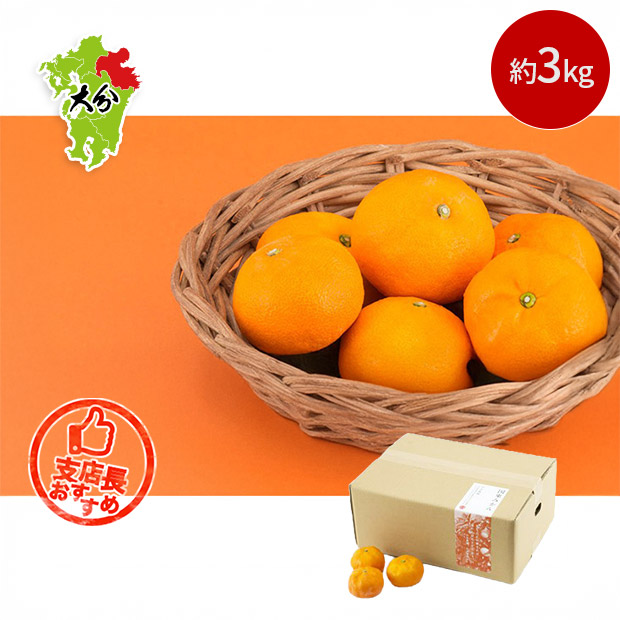 ＜数量限定商品＞【OitaMade】国東みかん 3kg