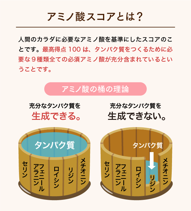 アミノ酸スコアとは？
