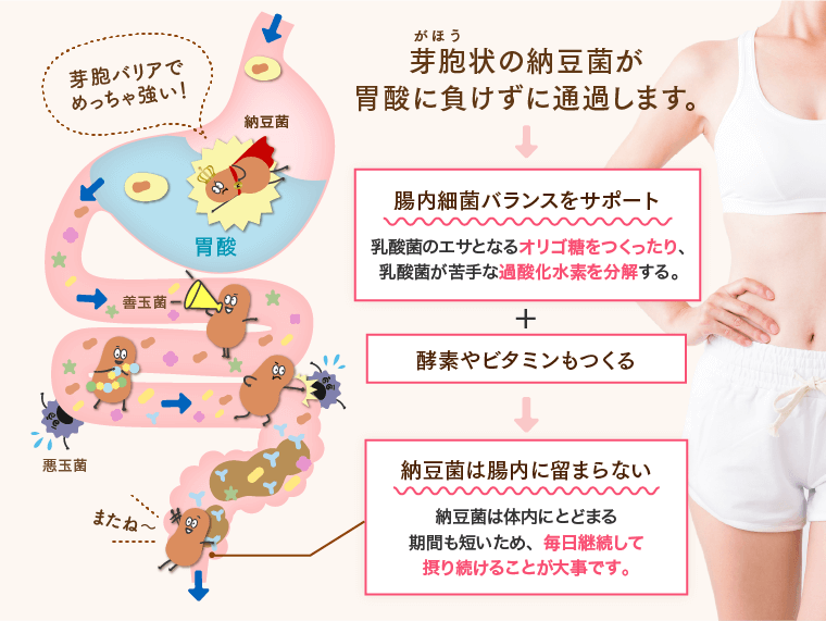 腸内細菌バランスをサポート