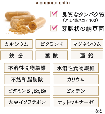 カラダに必要な栄養素