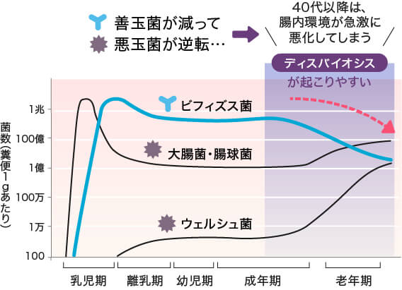 腸内細菌の話