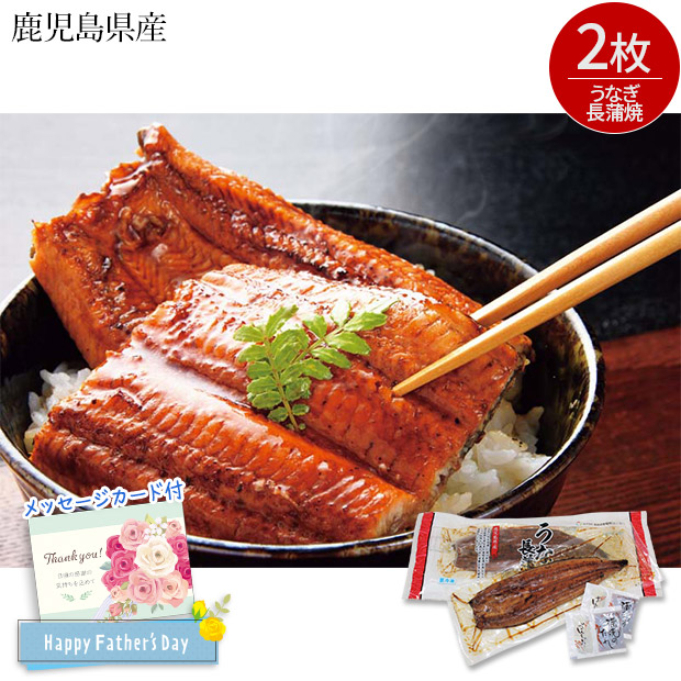 ＜父の日＞鹿児島県産 うなぎ長蒲焼セット（KA-UK2）