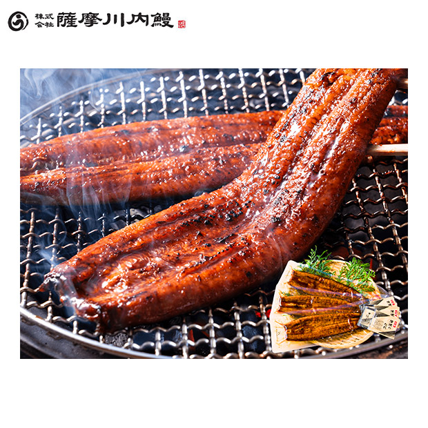 【薩摩川内鰻】鹿児島県産うなぎ蒲焼3尾セット