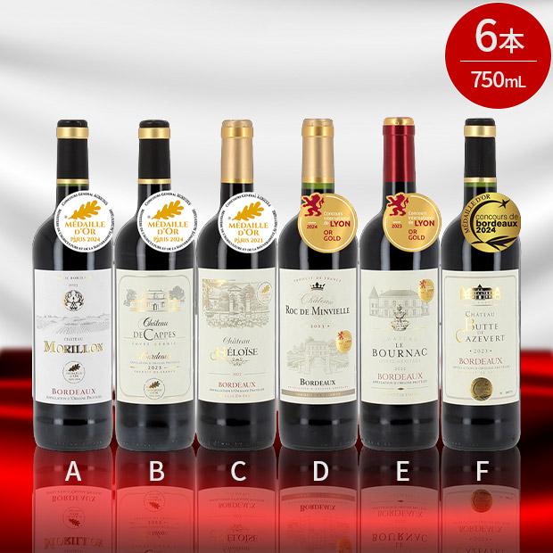 フランス有名コンクール金賞受賞ワイン6本セットVol.4