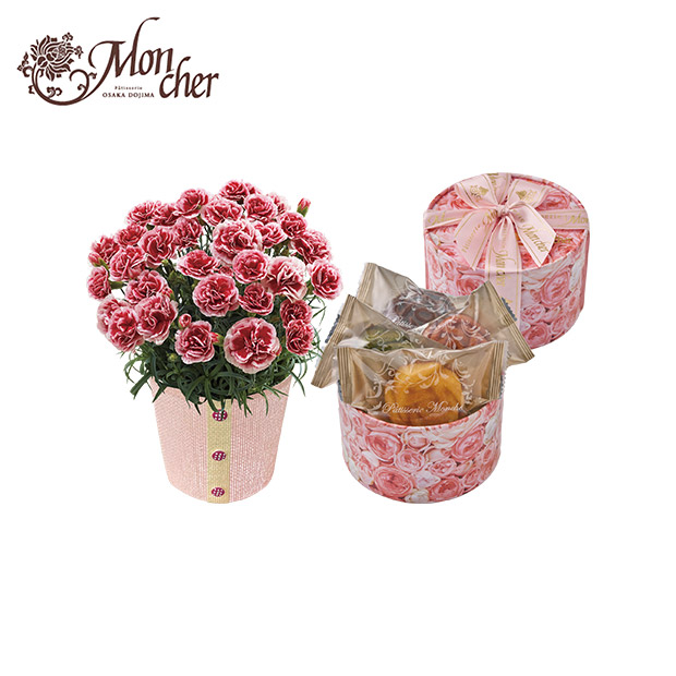 【期間限定価格】＜母の日＞	カーネーション（いちごホイップ）と「パティスリー モンシェール」エタニティーローズ（C40-2）