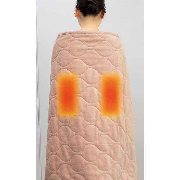 ≪16%OFF≫＜歳末セール＞【ゼンケン】電気ひざかけ(低電力タイプ)（ZR-05LR）