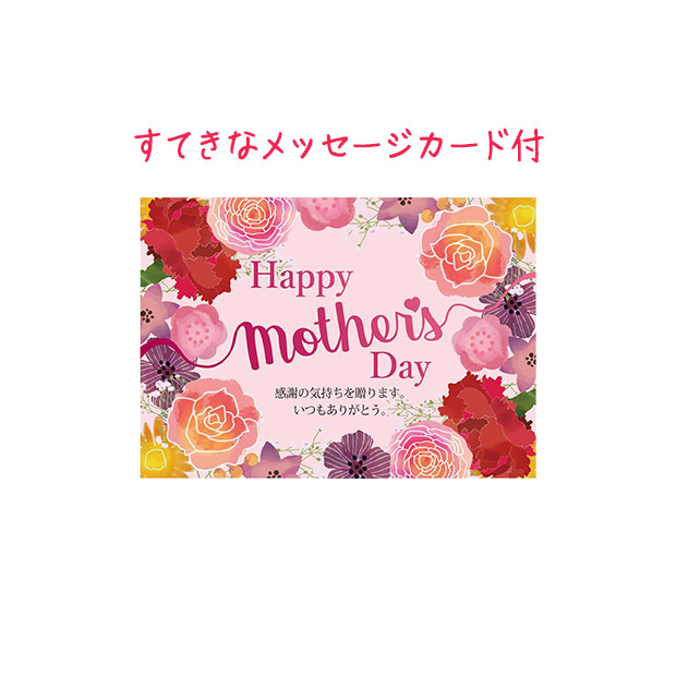 ＜母の日＞【ホシファーム】カーネーション＆【くまモナカ堂】くまの手作りあんバターモナカ3個