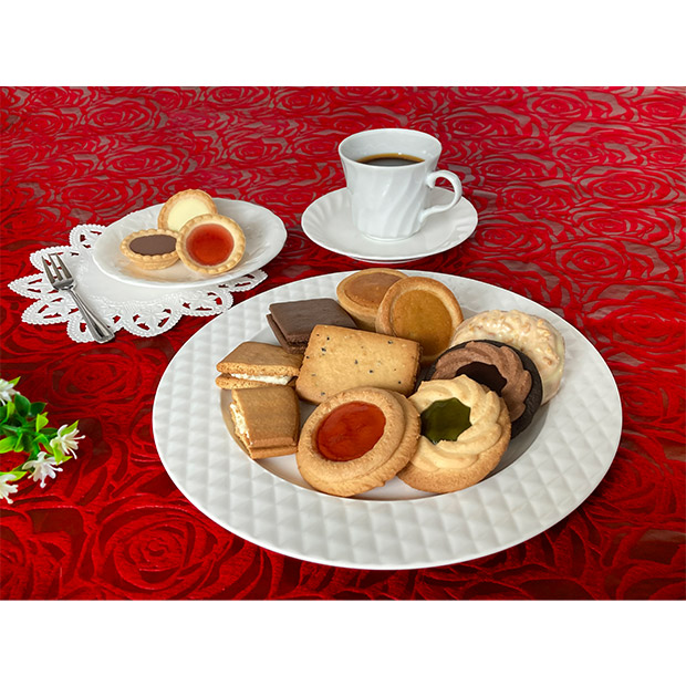 【中山製菓】ガトーセック  24個（NGS-40）