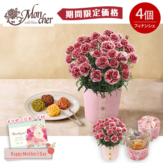 【期間限定価格】＜母の日＞	カーネーション（いちごホイップ）と「パティスリー モンシェール」エタニティーローズ（C40-2）