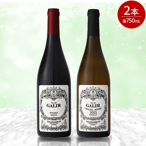 ＜クリアランスセール＞ビルヘン・デル・ガリル ワインセット 750mL&times;2本